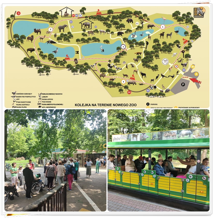 wyjazd_do_ZOO_w_Poznaniu_06-07-2023_zdj1