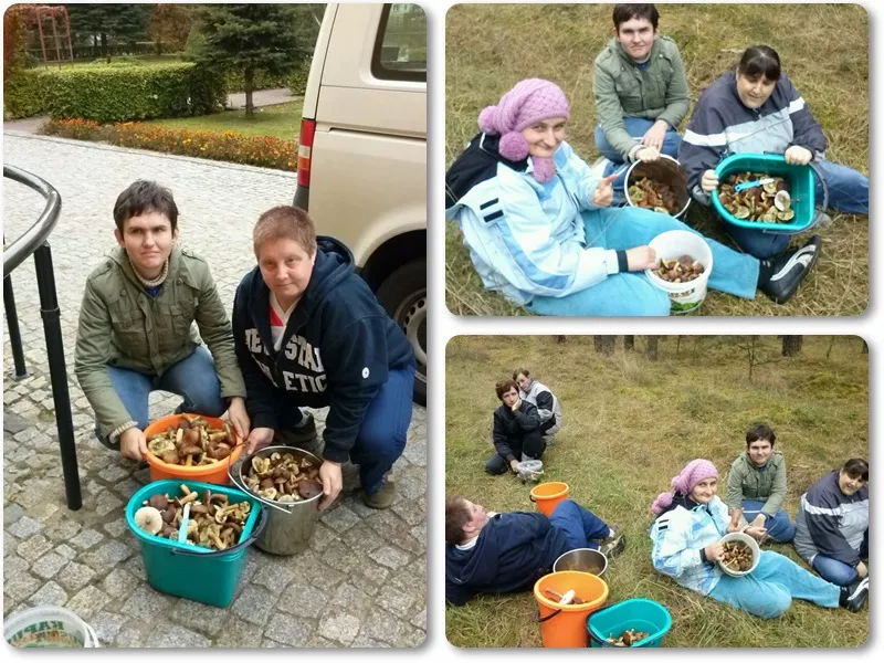 grzybobranie_1