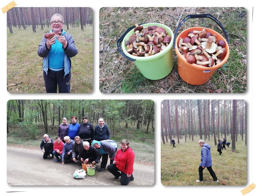 wyjście_na_grzyby_24-09-2019r_zdj2