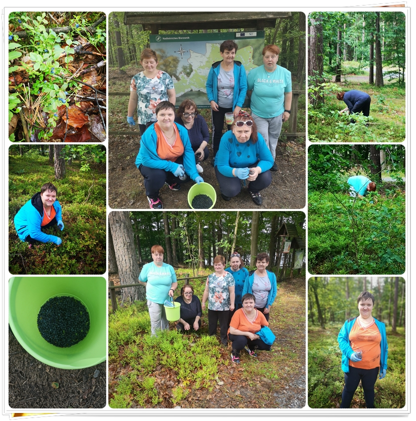 Wyprawa_na_Jagody_26-07-22_zdj1