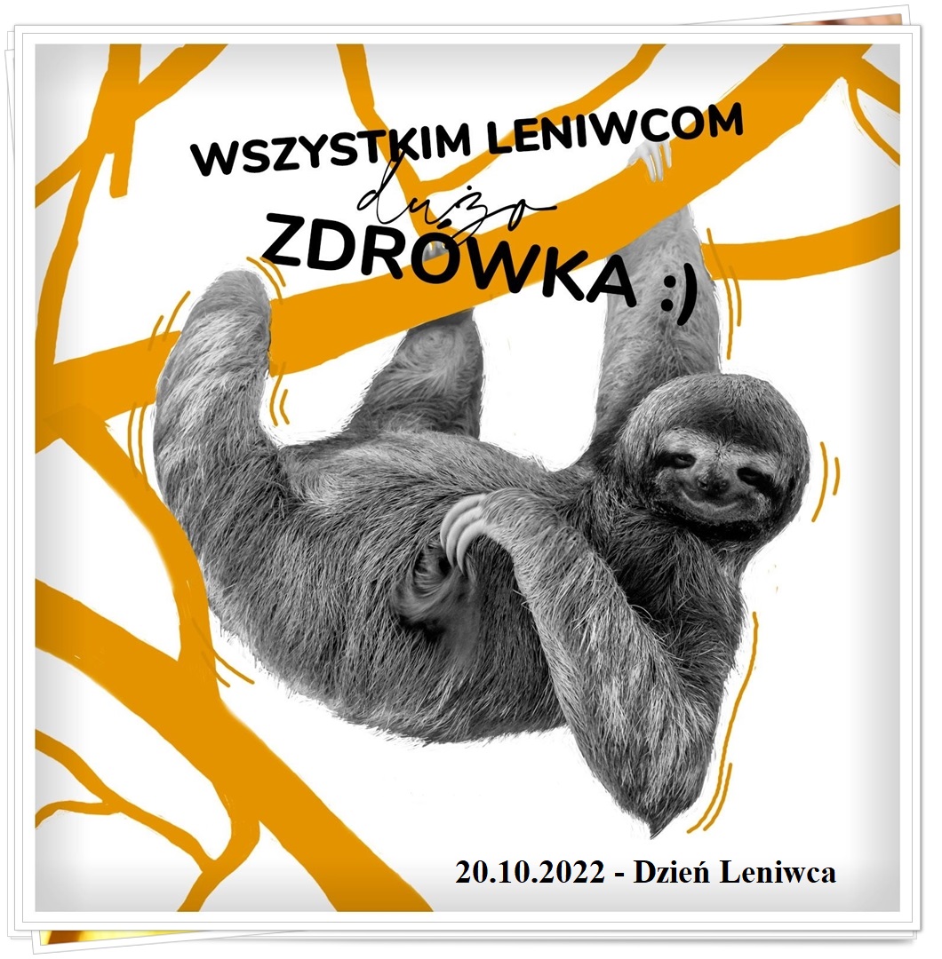 Dzień_Leniwca_20-10-2022