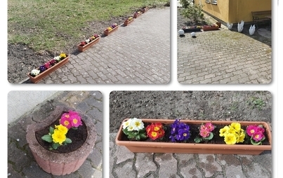 Zdjęcie do Wiosna zawitała na Terapię 